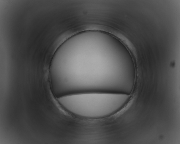 X0000101980993200807180756