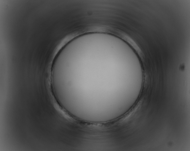 X0000101980994200807180756