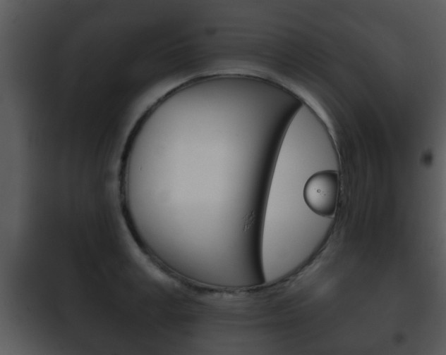 X0000101980995200807180756