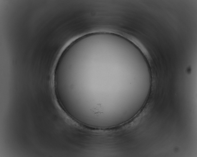 X0000101980996200807180756