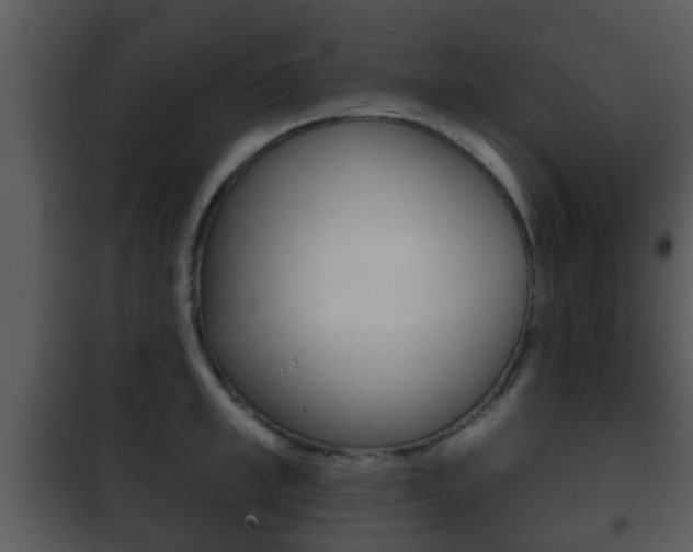 X0000101980997200807180756