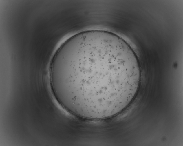 X0000101980998200807180756