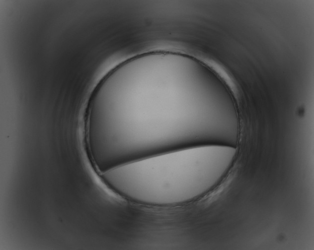 X0000101980999200807180756
