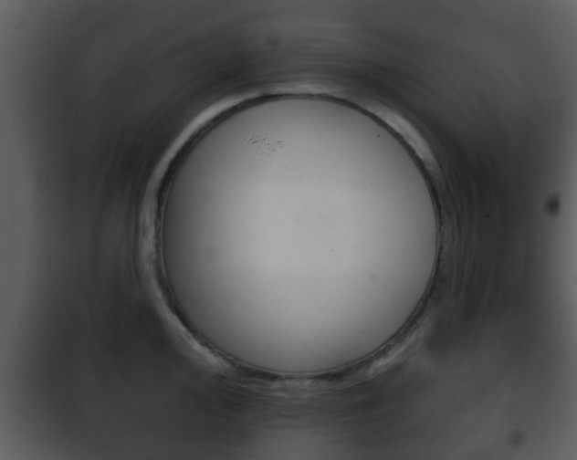 X0000101981000200807180756