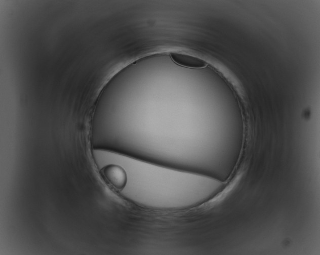X0000101981001200807180756