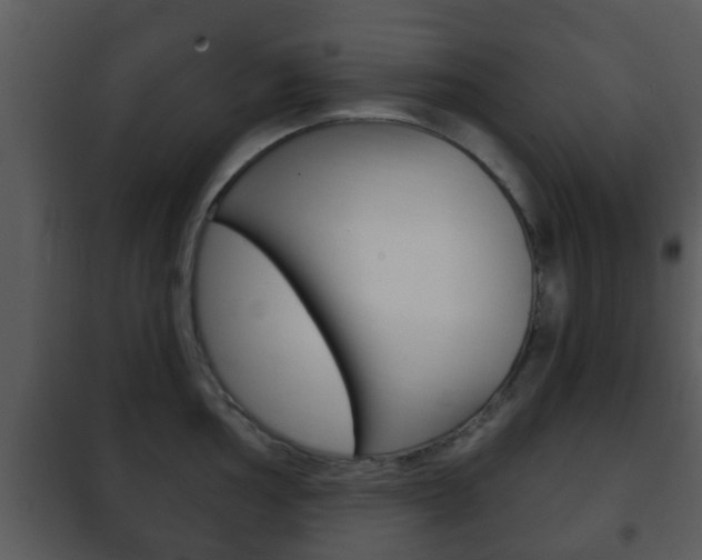 X0000101981002200807180756