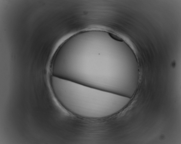 X0000101981003200807180756
