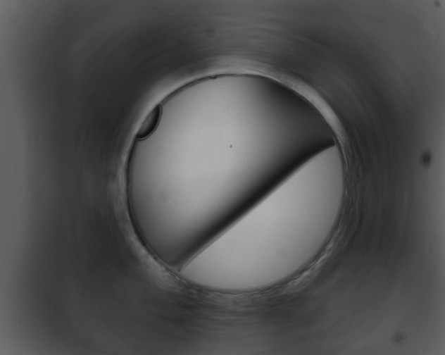 X0000101981004200807180756