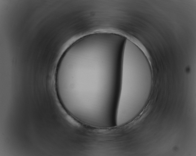 X0000101981005200807180756