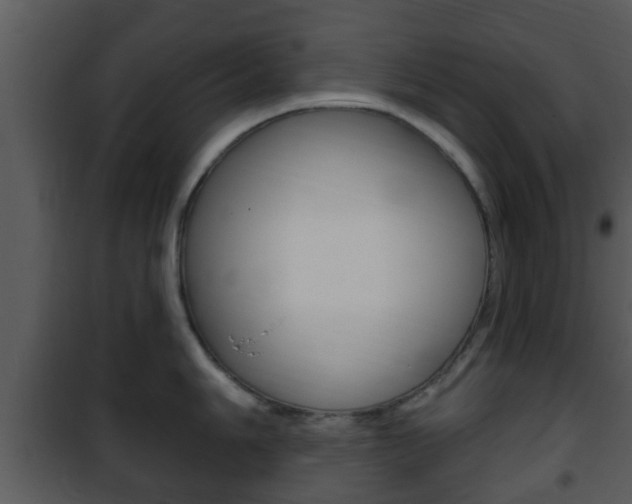 X0000101981006200807180756