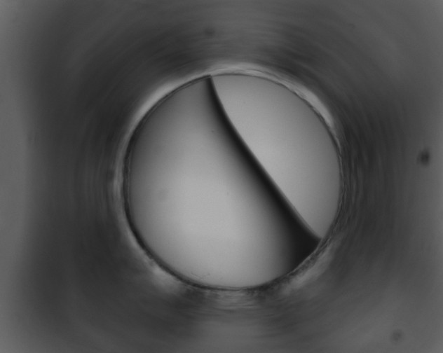 X0000101981007200807180756