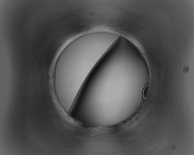 X0000101981008200807180756
