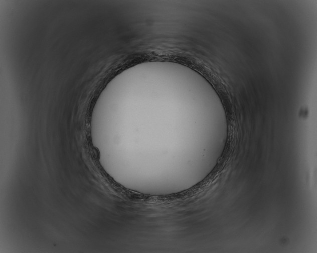 X0000101981009200807180755