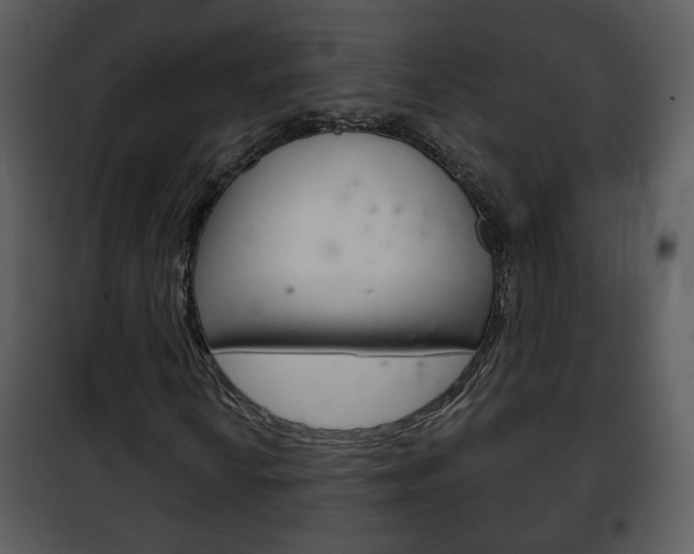 X0000101981010200807180755