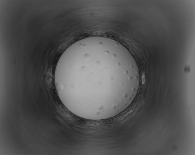 X0000101981011200807180755