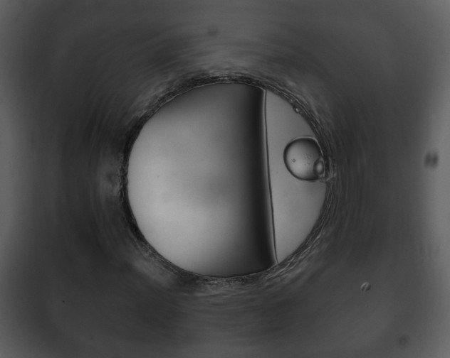 X0000101981012200807180755