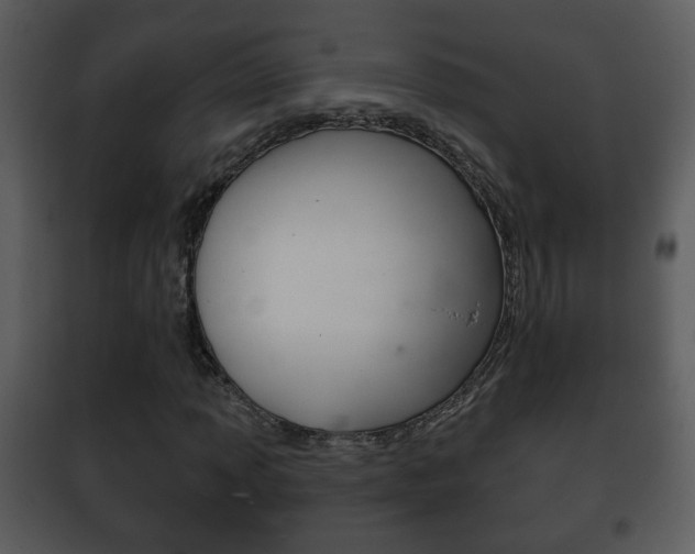 X0000101981013200807180755