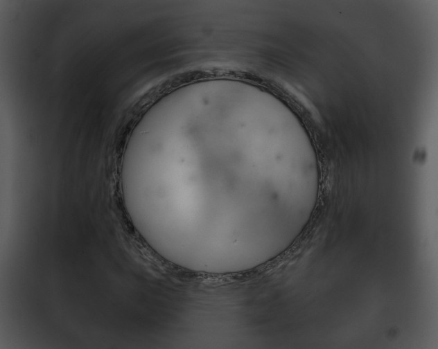 X0000101981015200807180755