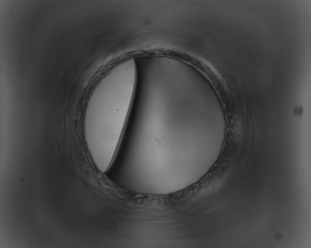 X0000101981016200807180755