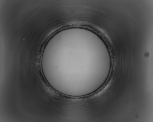 X0000101981017200807180755
