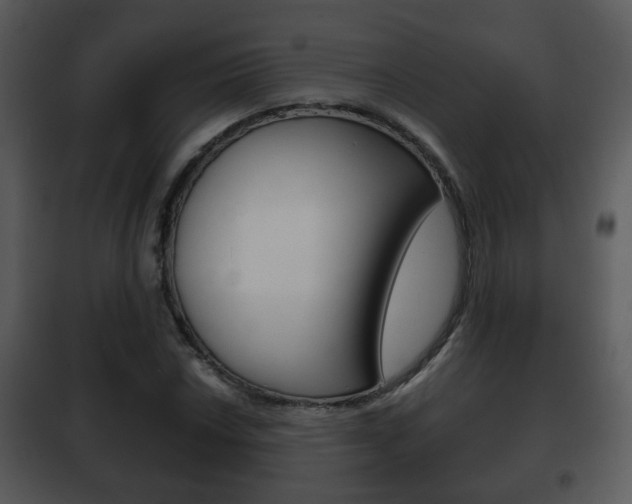 X0000101981018200807180755