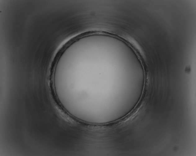 X0000101981020200807180755