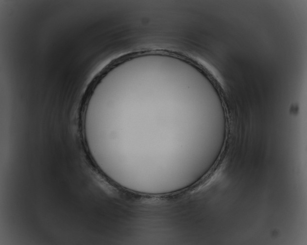 X0000101981023200807180755