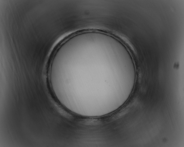 X0000101981024200807180755