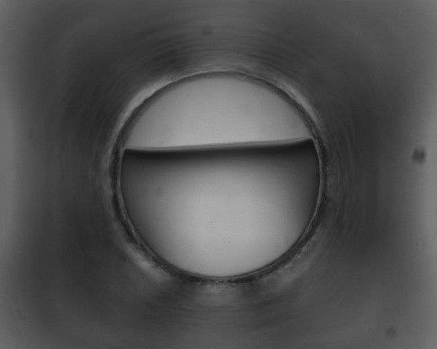 X0000101981026200807180755