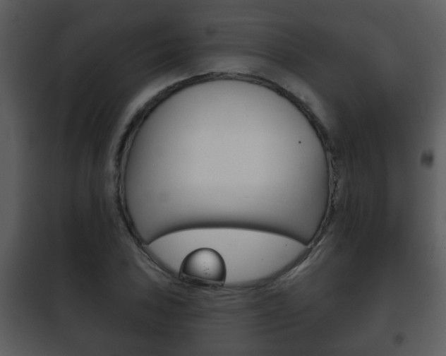 X0000101981027200807180755