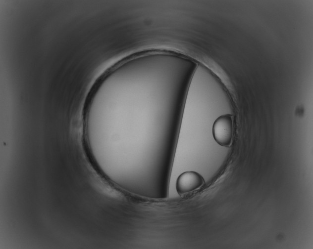 X0000101981028200807180755