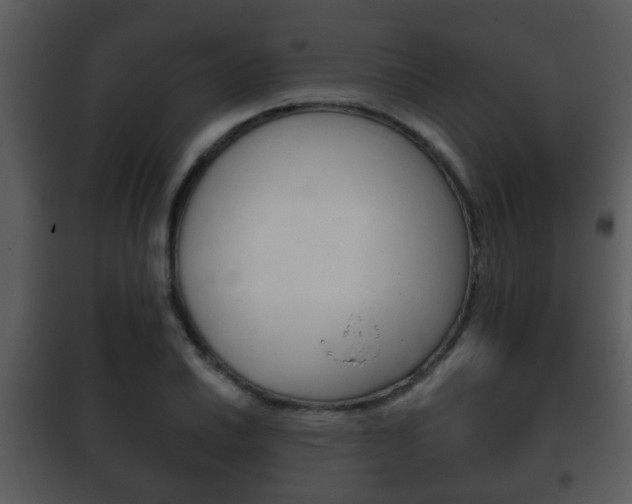 X0000101981030200807180755