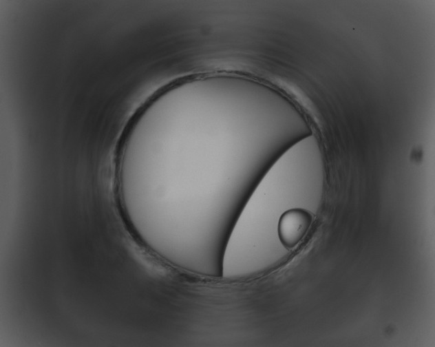 X0000101981031200807180755