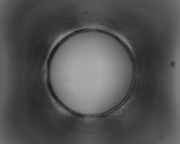 X0000101981032200807180755
