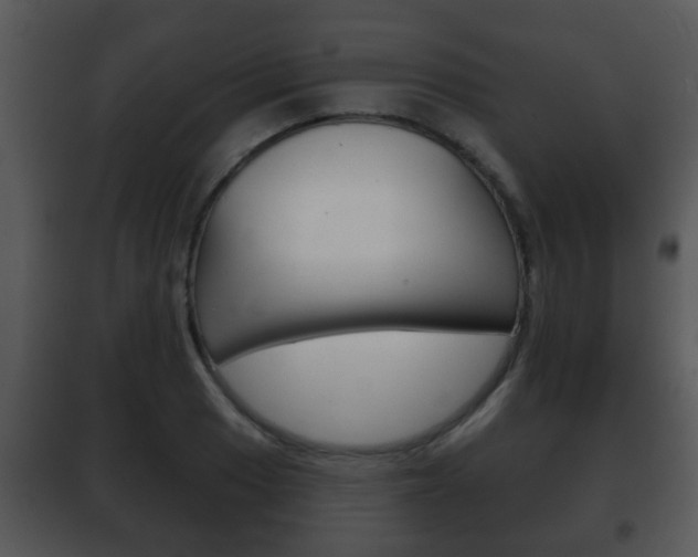 X0000101981033200807180755