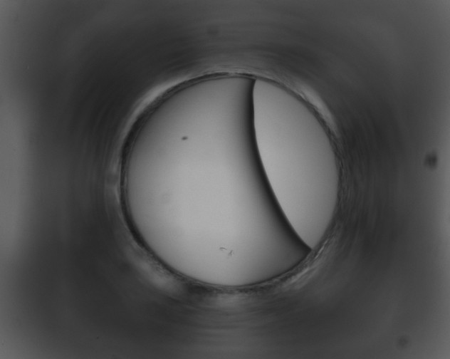 X0000101981035200807180755
