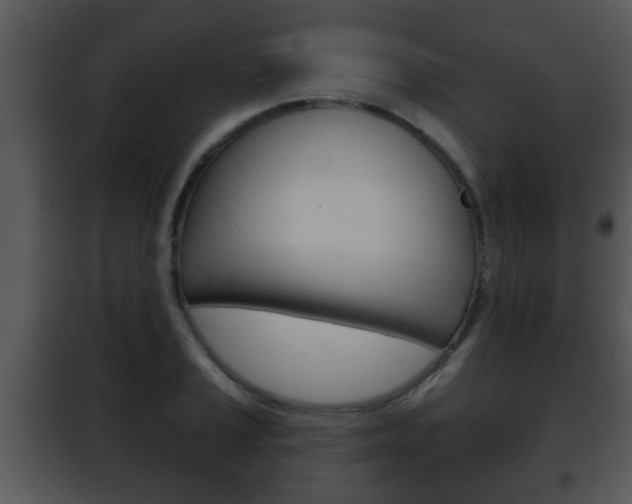 X0000101981037200807180755