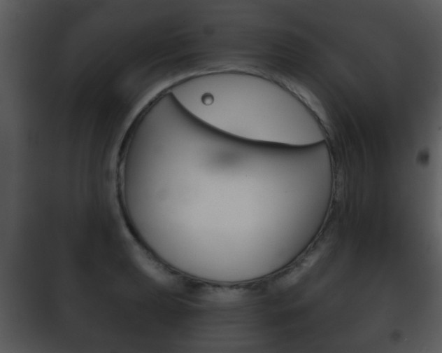 X0000101981039200807180755