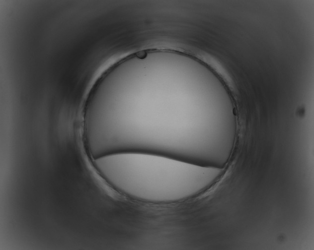 X0000101981040200807180755