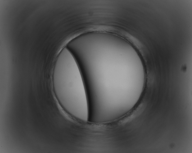 X0000101981041200807180755