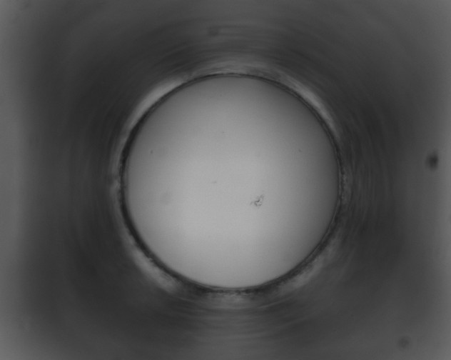 X0000101981042200807180755