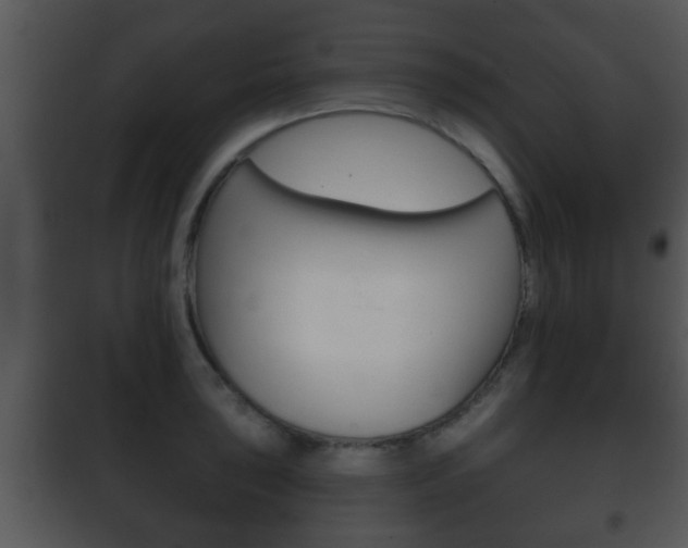 X0000101981043200807180756