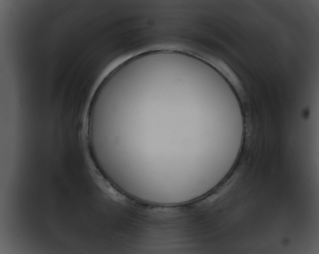 X0000101981044200807180756