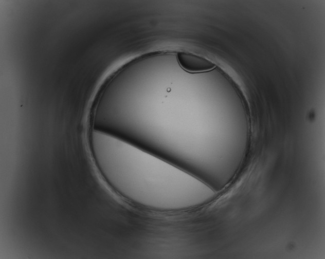 X0000101981045200807180756