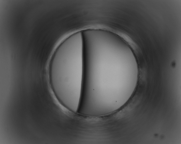 X0000101981046200807180756