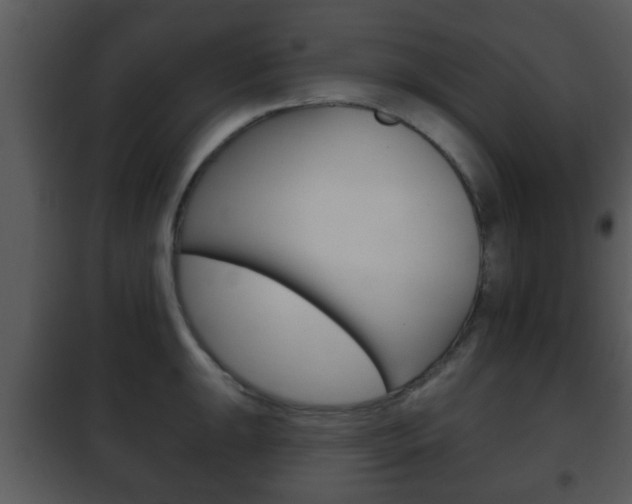 X0000101981047200807180756