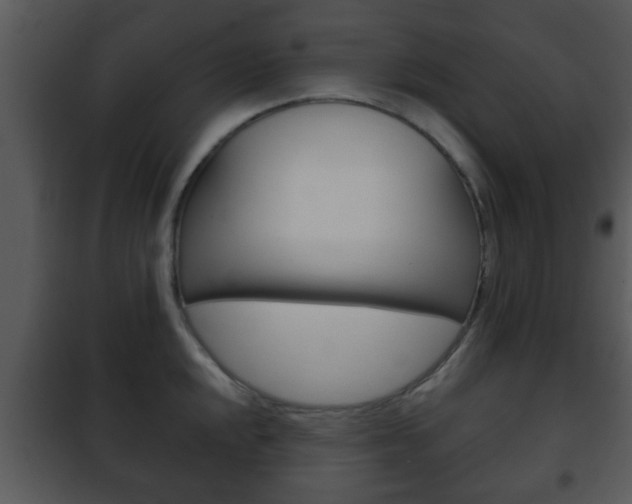 X0000101981048200807180756