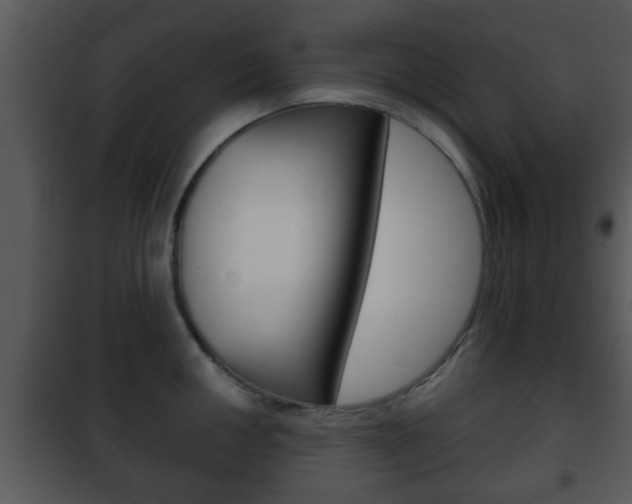 X0000101981050200807180756