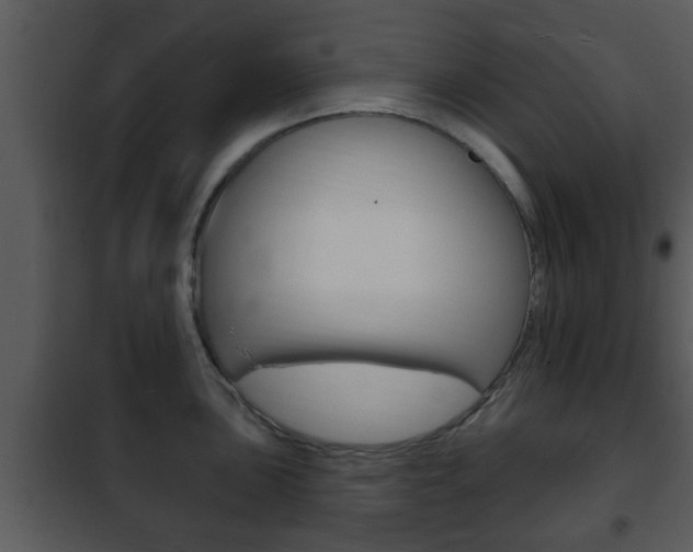 X0000101981051200807180756