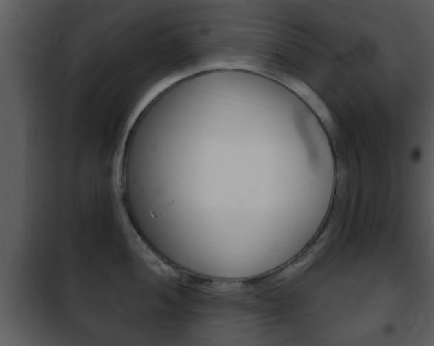 X0000101981052200807180756
